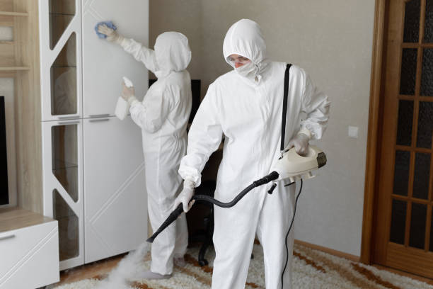 Home Mold Removal in La Crosse, KS